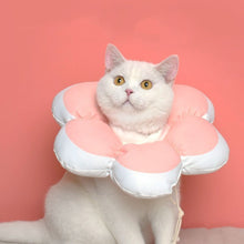 Load image into Gallery viewer, HiFuzzyPet Cute Flower Shape Cat Cone Collar, Waterproof

