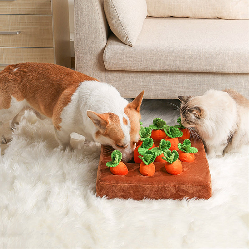 Karate Carrot Nosework  Fun Dog Puzzle – Woofin