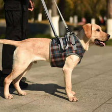 Load image into Gallery viewer, HiFuzzyPet Dog Lift Harness with Handle, Pet Recovery Sling
