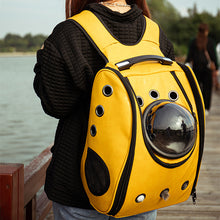 Load image into Gallery viewer, HiFuzzyPet Portable Leather Cat Backpack Carrier with Bubble
