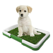 Load image into Gallery viewer, HiFuzzyPet Dog Pee Pad, Puppy Litter Box for Small Dog
