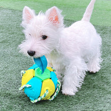 Load image into Gallery viewer, HiFuzzypet Dog Toy Rebound Balls with Hand, Pet Ufo Magic Ball
