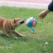 Load image into Gallery viewer, HiFuzzypet Dog Toy Rebound Balls with Hand, Pet Ufo Magic Ball

