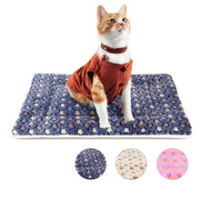 Load image into Gallery viewer, HiFuzzyPet Cozy Blanket For Cats, Puppy Crate Mat
