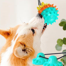 Load image into Gallery viewer, HiFuzzyPet Dog Chew Toys With Sucker
