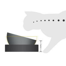Load image into Gallery viewer, HiFuzzyPet Stainless Steel Elevated Cat Food Bowl
